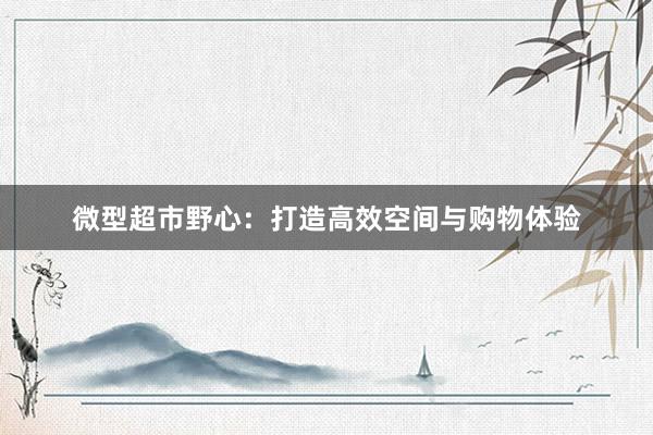 微型超市野心：打造高效空间与购物体验